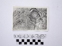 藏品(野柳地形)的圖片