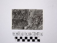 藏品(野柳地形)的圖片