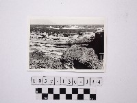 藏品(野柳地形)的圖片