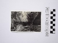 藏品(野柳地形)的圖片