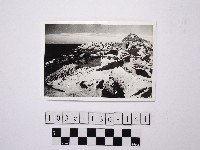 藏品(野柳地形)的圖片