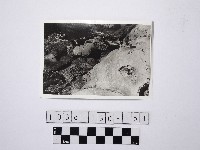 藏品(野柳地形)的圖片