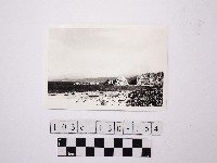 藏品(野柳地形)的圖片