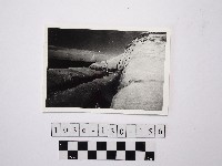 藏品(一名海釣的男孩)的圖片