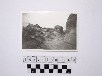 藏品(野柳地形)的圖片