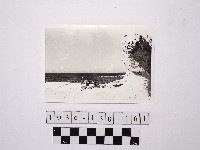 藏品(野柳地形)的圖片