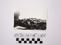 藏品(野柳地形)的圖片