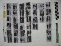 藏品(黃則修攝影作品之臺北街景)的圖片