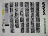 藏品(黃則修攝影作品之臺北街景)的圖片