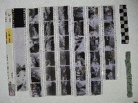藏品(黃則修攝影作品之臺北街景)的圖片