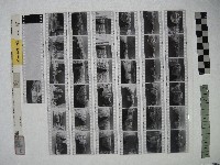藏品(黃則修攝影作品之臺北街景)的圖片