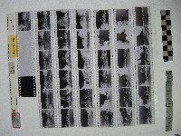 藏品(黃則修攝影作品之臺北街景)的圖片