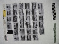 藏品(黃則修攝影作品之臺北街景)的圖片