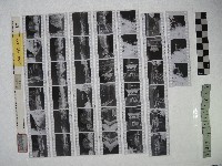 藏品(黃則修攝影作品之臺北街景)的圖片