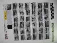 藏品(黃則修攝影作品之臺北街景)的圖片