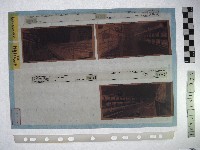 藏品(黃則修攝影作品之臺北街景)的圖片