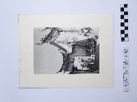 藏品(建築側牆)的圖片