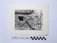 藏品(磚牆)的圖片