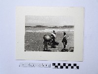 藏品(金山海水浴場)的圖片