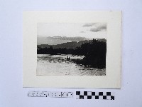 藏品(歸舟)的圖片