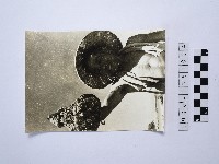 藏品(戴斗笠者)的圖片