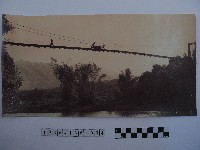 藏品(大豹吊橋)的圖片