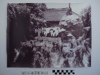 藏品(收割後的農莊)的圖片