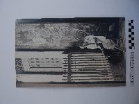 藏品(男性長者)的圖片