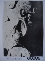 藏品(石雕龍柱)的圖片