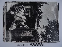 藏品(龍山寺照片集)的圖片