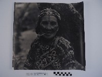 藏品(原住民黥面女長者)的圖片