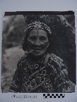 藏品(原住民黥面女長者)的圖片