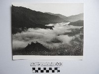 藏品(山巒與雲海)的圖片