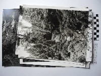 藏品(高山風情系列照片)的圖片