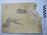 藏品(青春的活力)的圖片