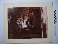 藏品(澎湖咾咕石厝的牛車與樹)的圖片