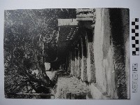 藏品(階梯)的圖片