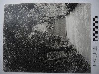 藏品(階梯上三人)的圖片