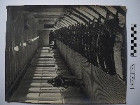 藏品(走廊上的女士)的圖片