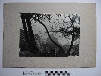 藏品(科學教育館)的圖片