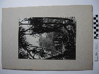 藏品(科學教育館)的圖片