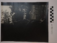 藏品(女子獨照)的圖片