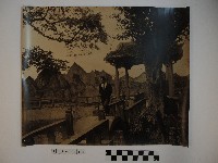 藏品(板橋林家花園男子獨照)的圖片