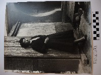 藏品(女子獨照)的圖片