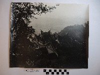 藏品(木柵指南宮)的圖片