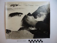 藏品(野柳風景)的圖片