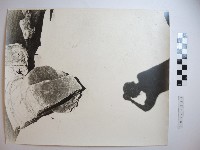 藏品(野柳風景)的圖片