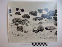 藏品(野柳風景)的圖片