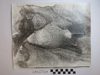 藏品(野柳風景)的圖片