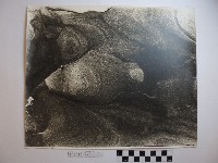 藏品(野柳風景)的圖片